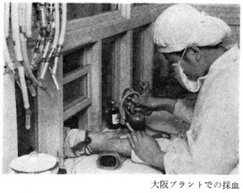 Blood collection at Nihon Blood Bank's Osaka Plant, Kyōbashi, photograph from Thirty Years of the Green Cross Corporation (1980).