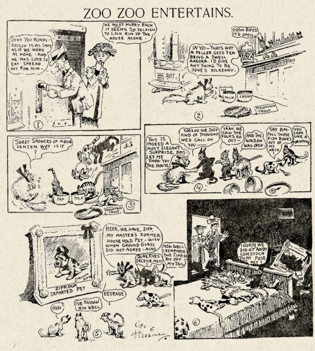 George Herriman's short run ZOO ZOO strip featured a pre-cursor to Krazy Kat (1906, scan courtesy Peter Maresca and Sunday Press)