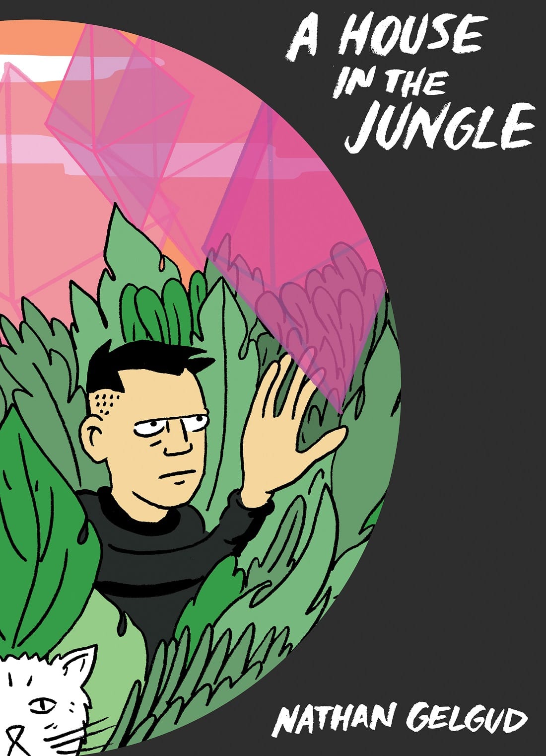 A house in the jungle the comics journal