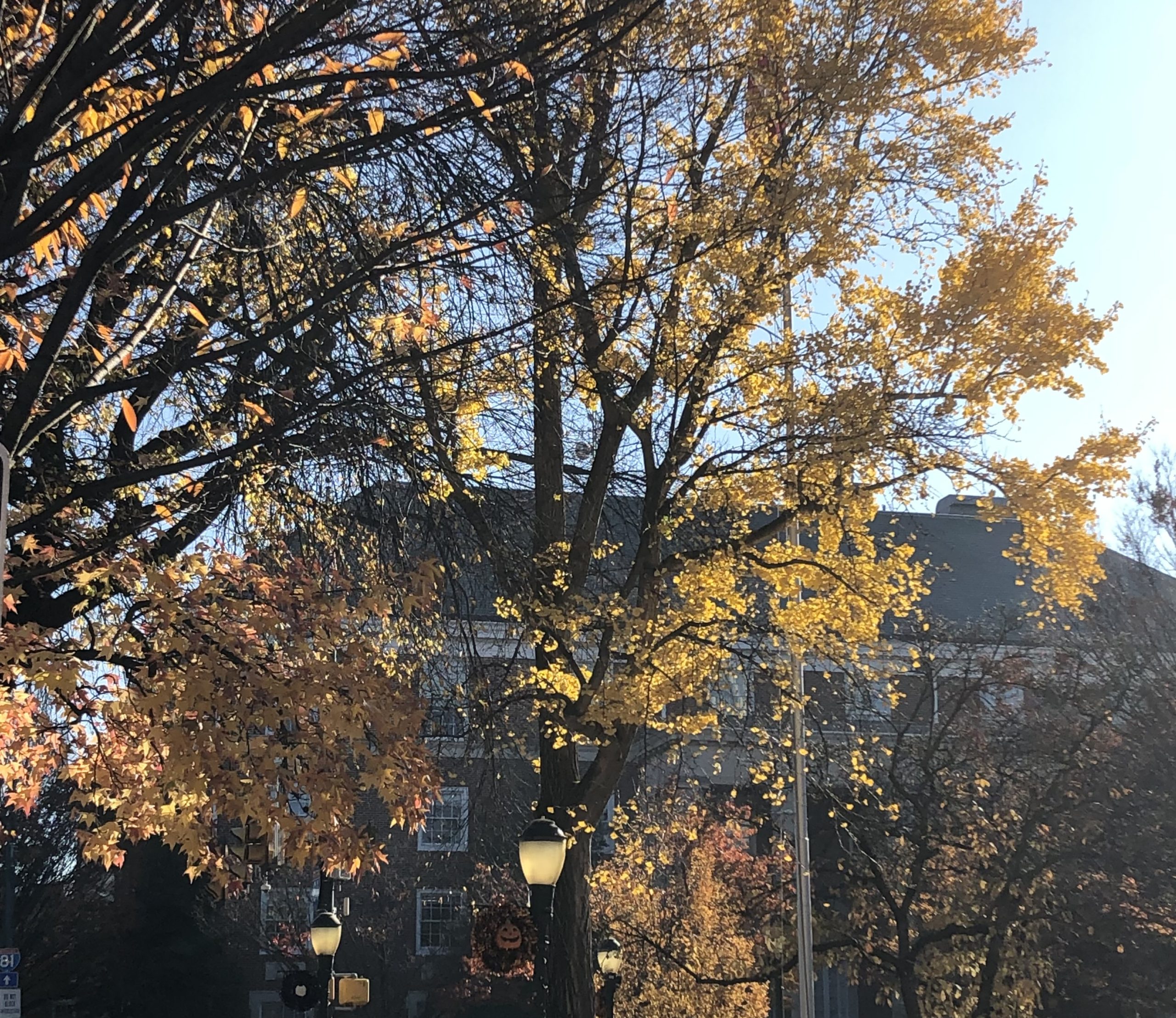 Hard to Hold a Candle This Week's Links The Comics Journal