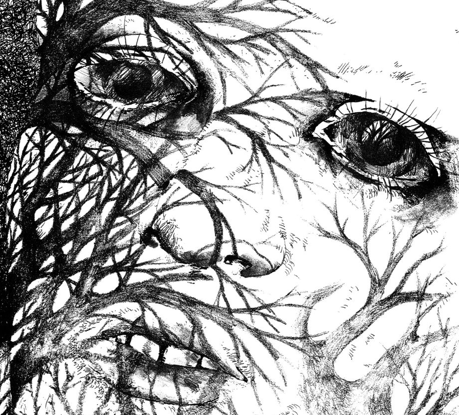 “Stories Can Live On Their Own” An Introduction to, and Exploration of