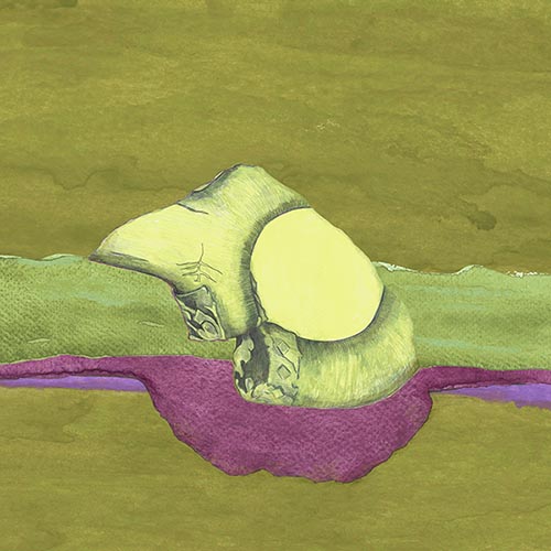 The Interpretant