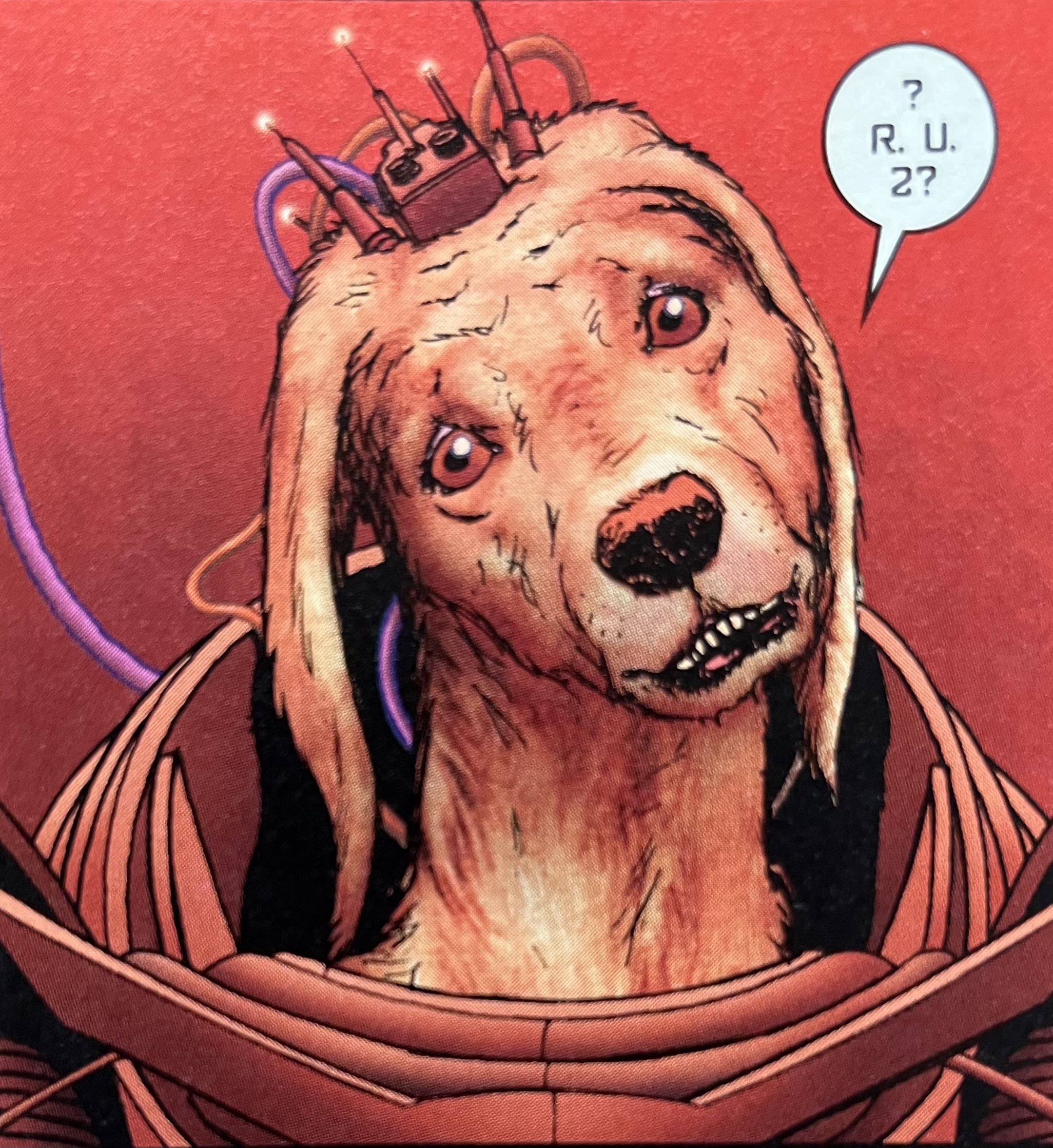 A Burning Dog — This Week’s Links