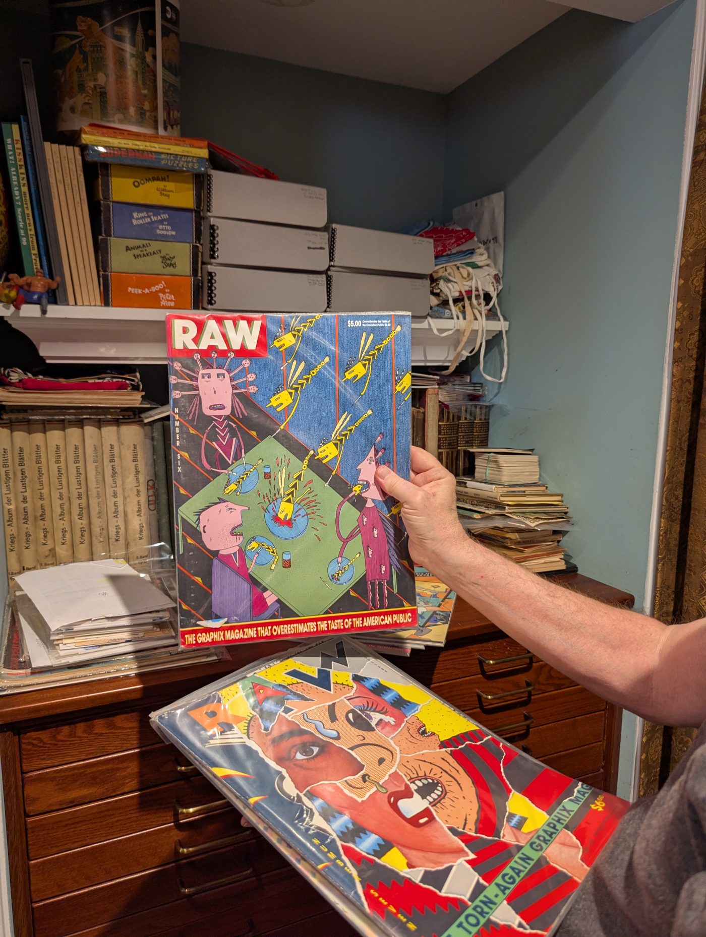 RAW number six with cover art by Mark Beyer.